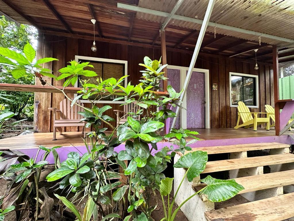 Caribbean Flow Puerto Viejo de Talamanca المظهر الخارجي الصورة