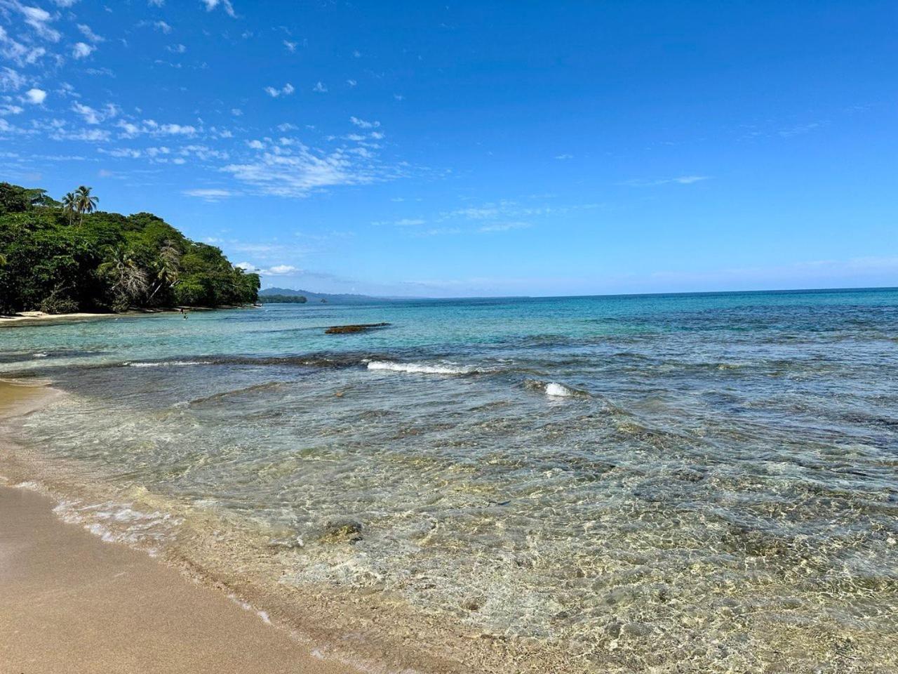 Caribbean Flow Puerto Viejo de Talamanca المظهر الخارجي الصورة