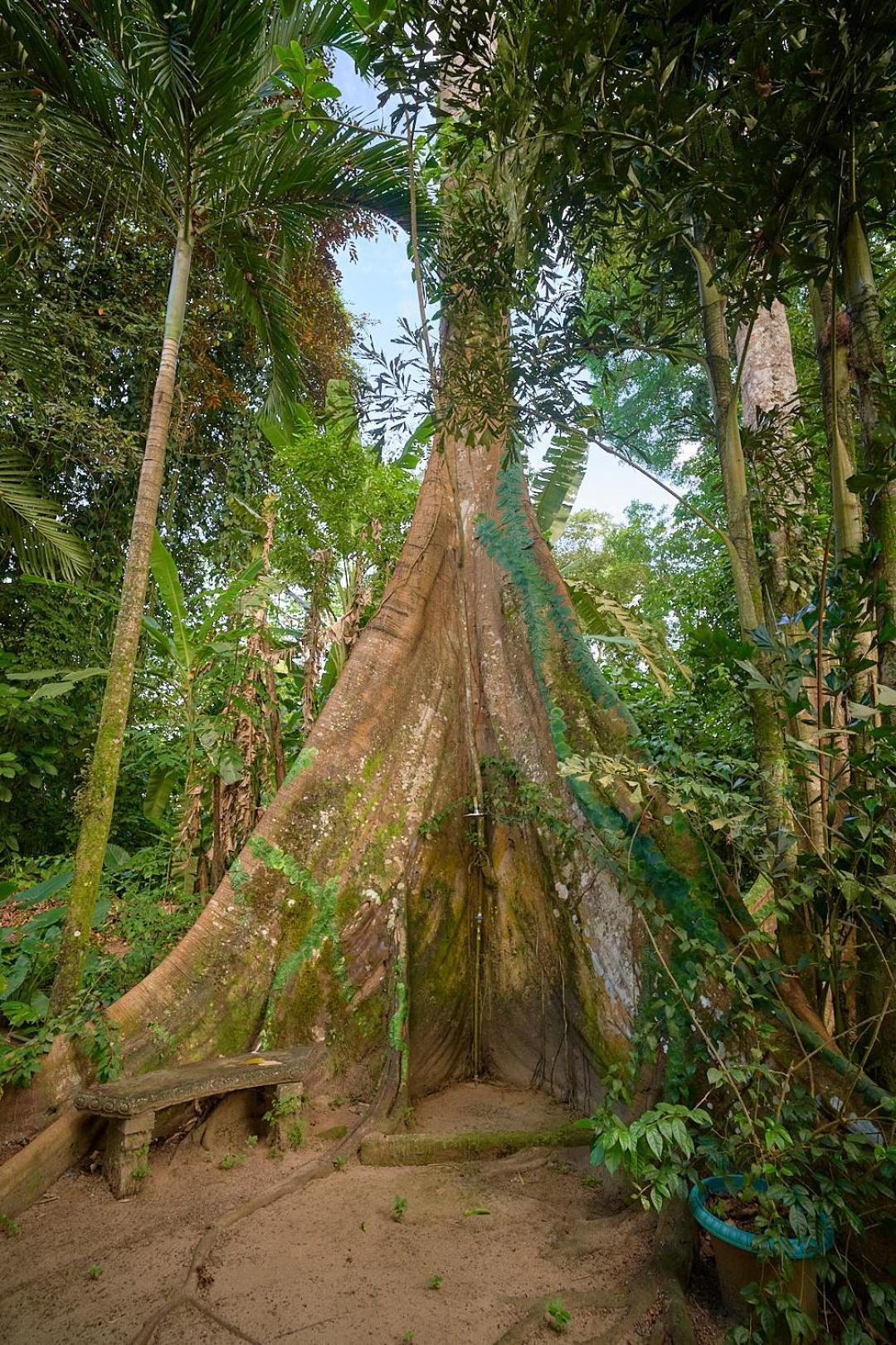 Caribbean Flow Puerto Viejo de Talamanca المظهر الخارجي الصورة